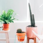 Bohemian Loft – 6