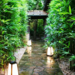 10 Unique Garden Path and Walkway Ideas – 5